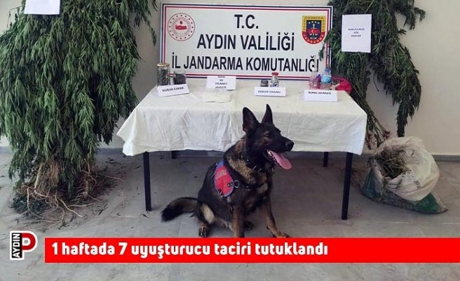 Bir haftada 7 uyuşturucu taciri tutuklandı