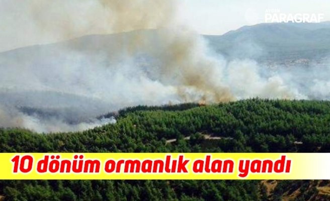 10 dönüm ormanlık alan yandı