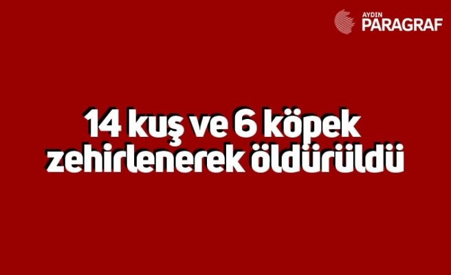 14 kuş ve 6 köpek zehirlenerek öldürüldü