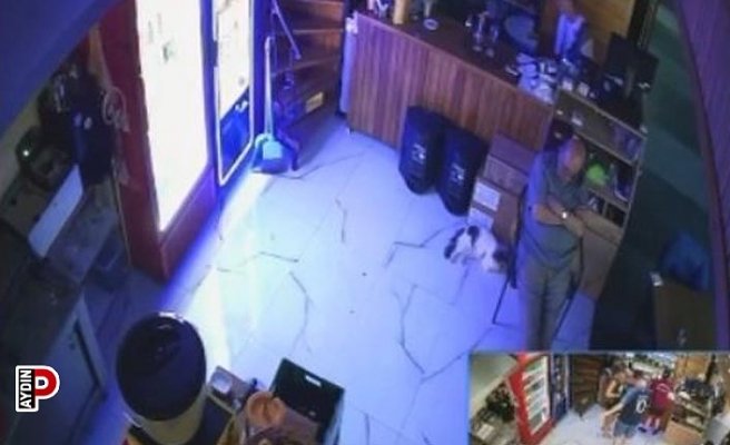 3 dakikalık uyku 3 bin liraya mal oldu