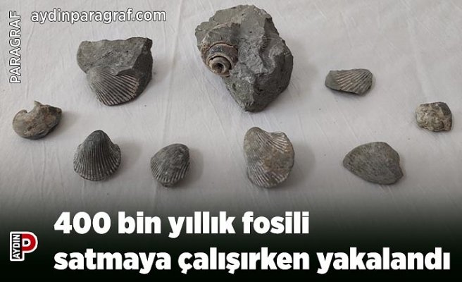 400 bin yıllık fosili satmaya çalışırken yakalandı