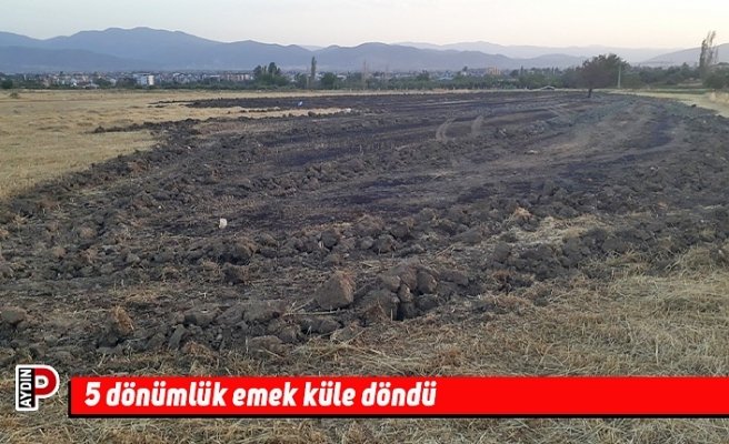 5 dönümlük emek küle döndü