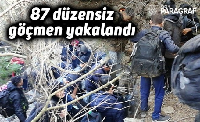 87 düzensiz göçmen yakalandı
