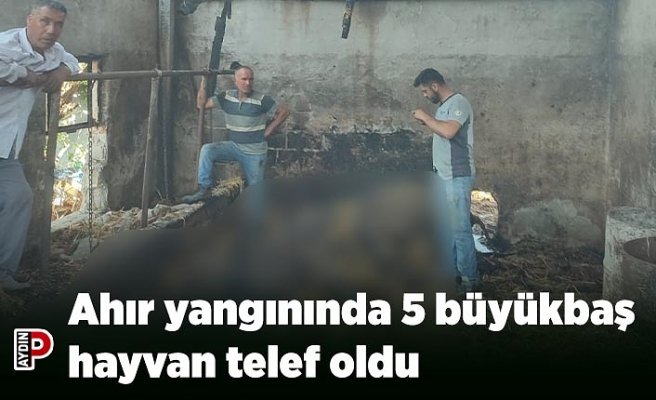 Ahır yangınında 5 büyükbaş hayvan telef oldu