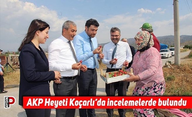 AKP Heyeti Koçarlı’da incelemelerde bulundu