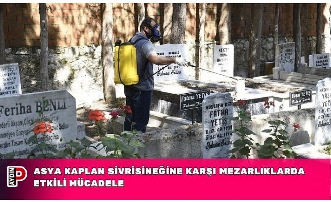 ASYA KAPLAN SİVRİSİNEĞİNE KARŞI MEZARLIKLARDA ETKİLİ MÜCADELE
