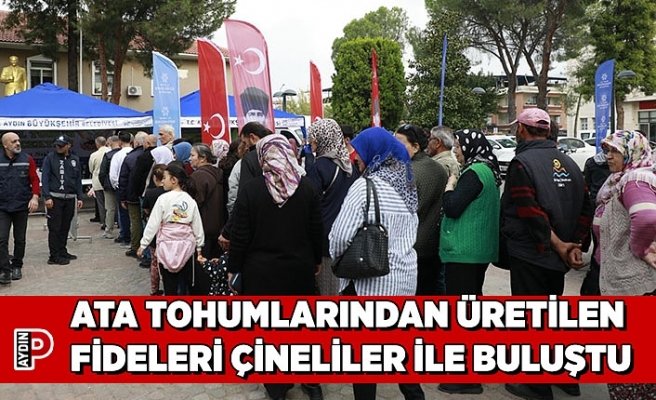 ATA TOHUMLARINDAN ÜRETİLEN FİDELERİ ÇİNELİLER İLE BULUŞTU