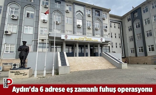 Aydın'da 6 adrese eş zamanlı fuhuş operasyonu