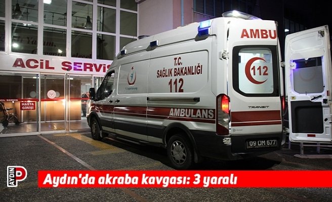 Aydın'da akraba kavgası: 3 yaralı