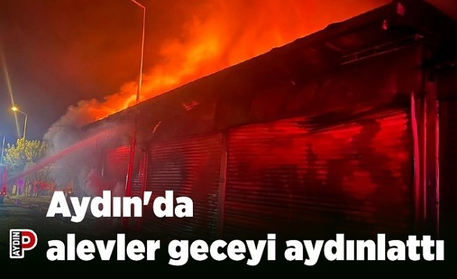 Aydın'da alevler geceyi aydınlattı