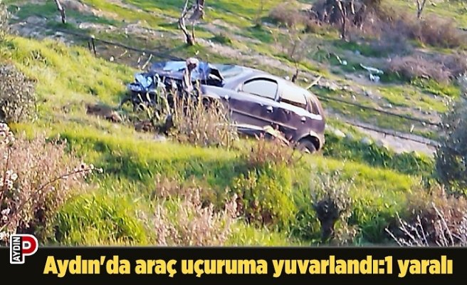 Aydın'da araç uçuruma yuvarlandı:1 yaralı