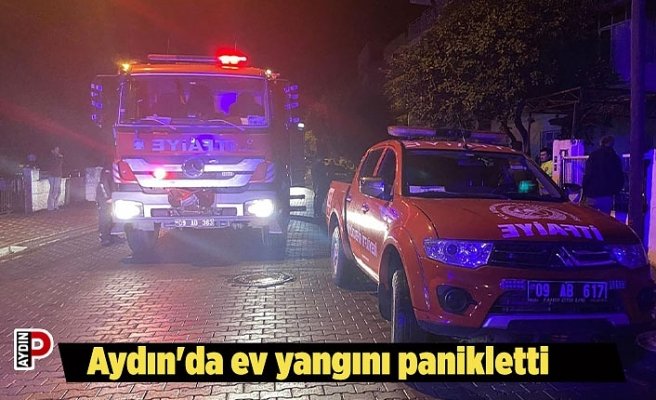 Aydın'da ev yangını panikletti