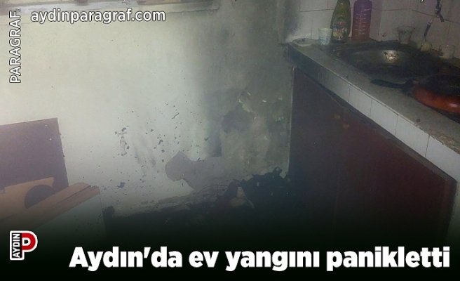 Aydın'da ev yangını panikletti
