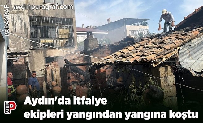 Aydın'da itfaiye ekipleri yangından yangına koştu