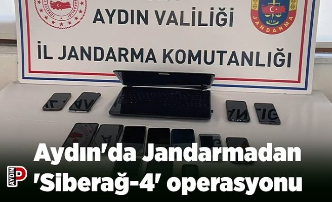 Aydın'da Jandarmadan 'Siberağ-4' operasyonu