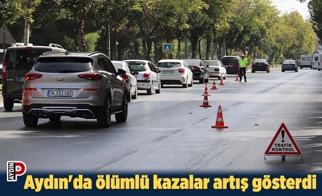 Aydın'da ölümlü kazalar artış gösterdi