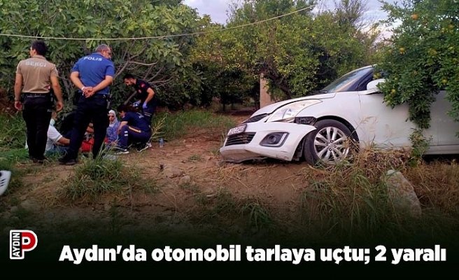 Aydın'da otomobil tarlaya uçtu; 2 yaralı