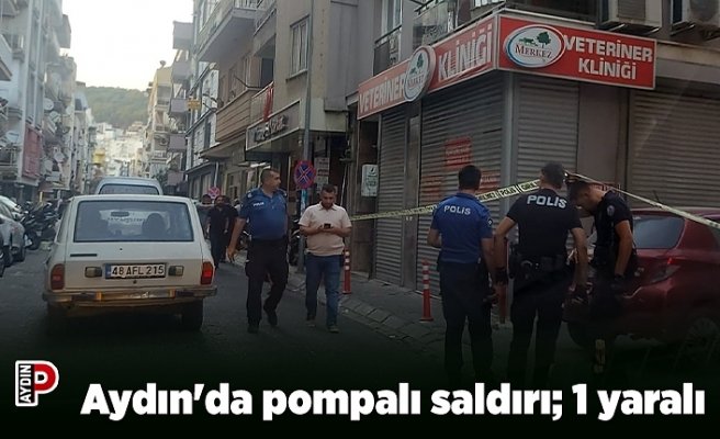 Aydın'da pompalı saldırı; 1 yaralı