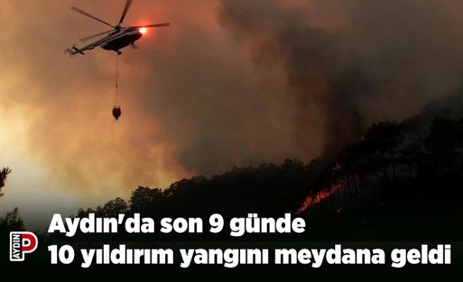 Aydın'da son 9 günde 10 yıldırım yangını meydana geldi