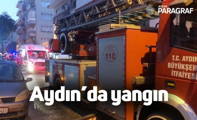 Aydın'da yangın