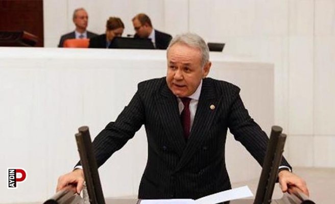 Aydın Sezgin: Zeytin ağaçlarının ölüm fermanı