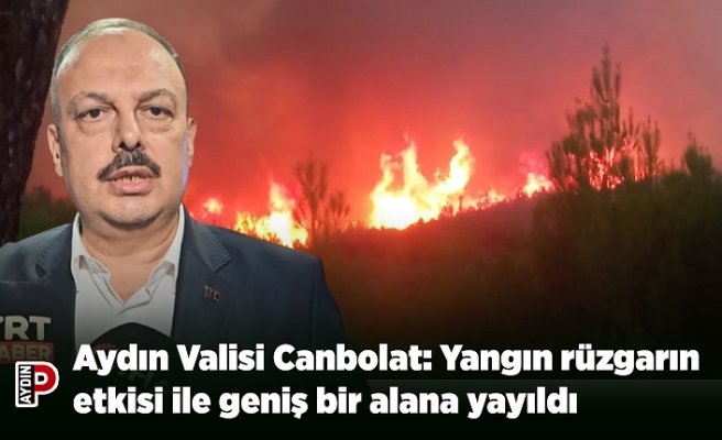 Aydın Valisi Canbolat: Yangın rüzgarın etkisi ile geniş bir alana yayıldı