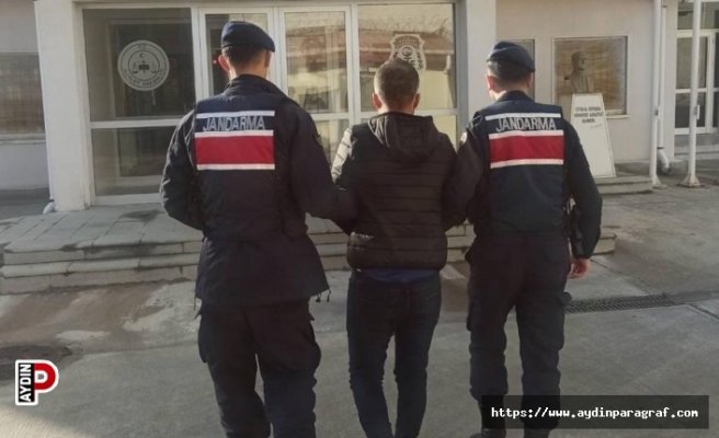 Aydın jandarmasından eş zamanlı operasyon: 15 gözaltı