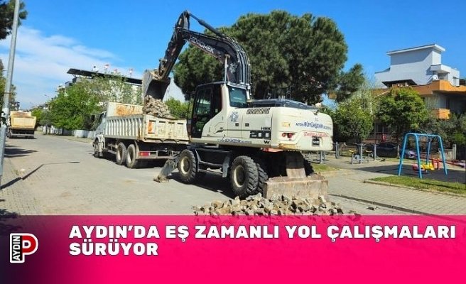 Aydın’da Eş Zamanlı Yol Çalışmaları Sürüyor