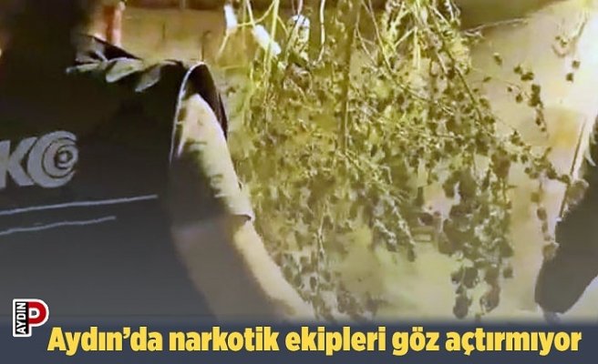 Aydın’da narkotik ekipleri göz açtırmıyor