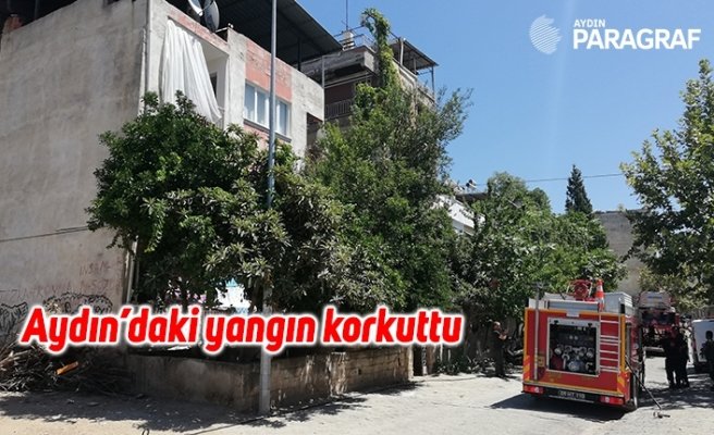 Aydın’daki yangın korkuttu