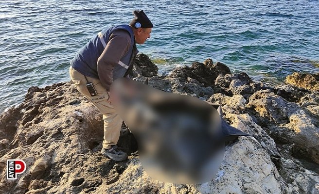 Baş, kol ve bacakları olmayan 2 erkek cesedi kıyıya vurdu