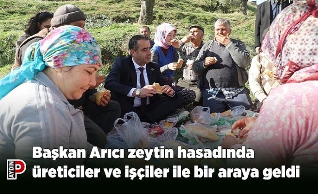 Başkan Arıcı zeytin hasadında üreticiler ve işçiler ile bir araya geldi