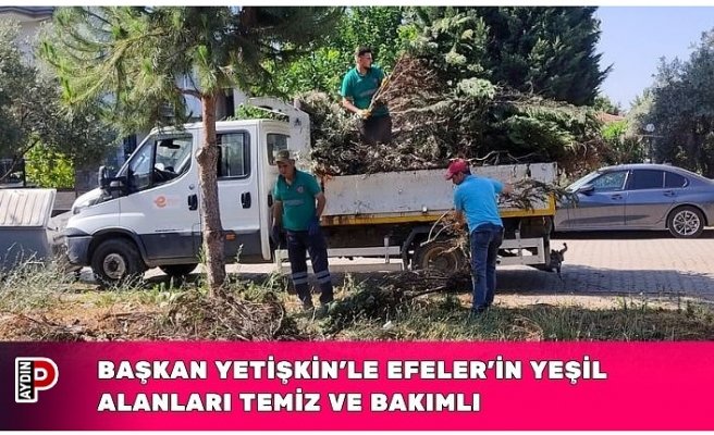 BAŞKAN YETİŞKİN’LE EFELER’İN YEŞİL ALANLARI TEMİZ VE BAKIMLI