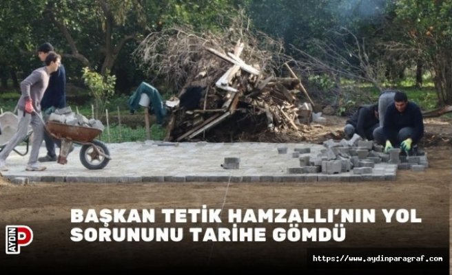 Başkan Tetik Hamzallı'nın yol sorununu tarihe gömdü