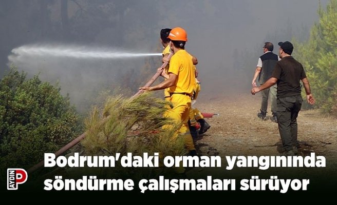 Bodrum'daki orman yangınında söndürme çalışmaları sürüyor