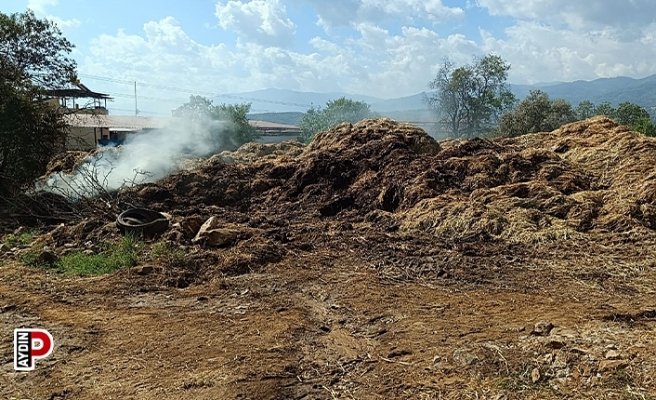 Bozdoğan’da 70 ton saman kül oldu