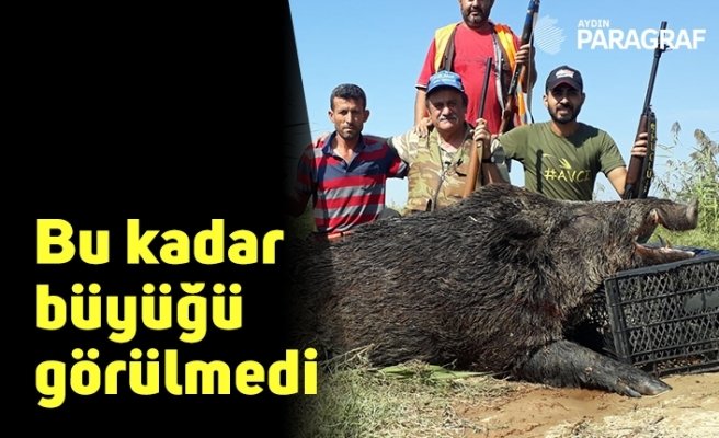 Bu kadar büyüğü görülmedi