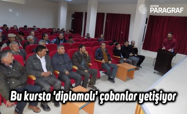 Bu kursta 'diplomalı' çobanlar yetişiyor