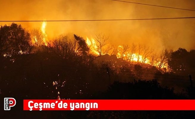 Çeşme’de yangın