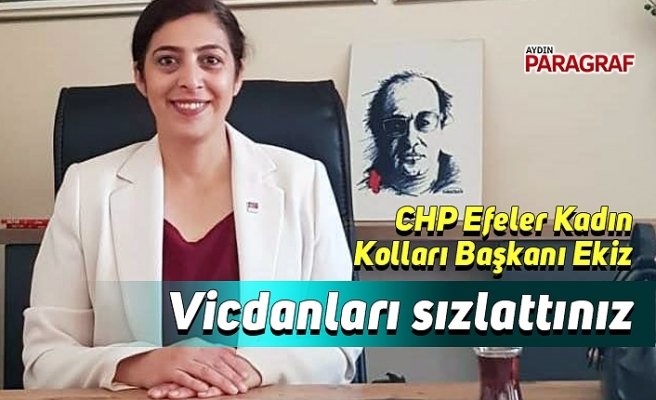 CHP'li Ekiz, Vicdanları sızlattınız