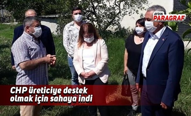 CHP üreticiye destek olmak için sahaya indi