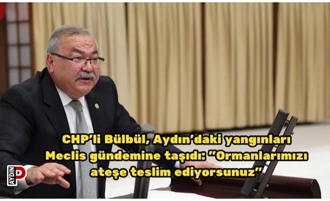 CHP’li Bülbül, Aydın’daki yangınları Meclis gündemine taşıdı: "Ormanlarımızı ateşe teslim ediyorsunuz"