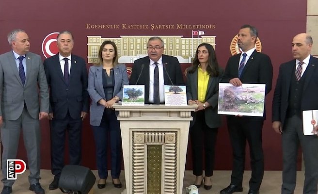 CHP’li Bülbül’den Danıştay’a Zeytinlik Çağrısı: Hukuka Aykırılığa Seyirci Kalıyorsunuz!