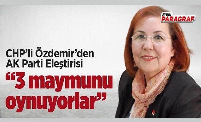 CHP’li Özdemir’den AK Parti eleştirdi