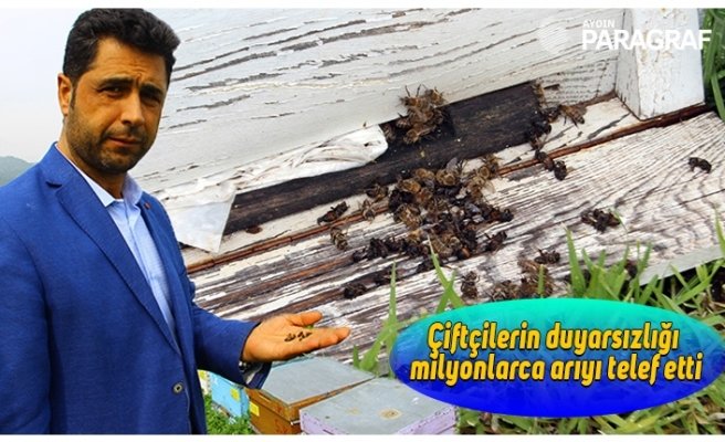 Çiftçilerin duyarsızlığı milyonlarca arıyı telef etti
