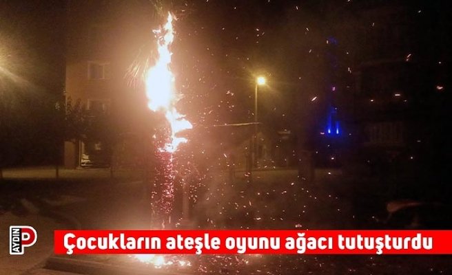 Çocukların ateşle oyunu ağacı tutuşturdu