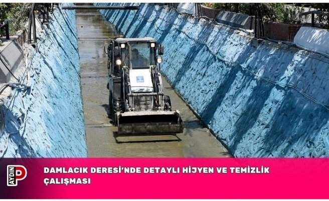 DAMLACIK DERESİ’NDE DETAYLI HİJYEN VE TEMİZLİK ÇALIŞMASI