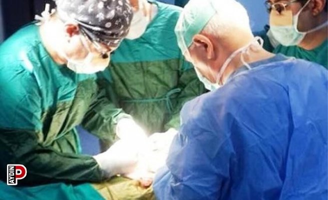 Danıştay 1. Dairesi, ADÜ'deki olayla ilgili kararını verdi