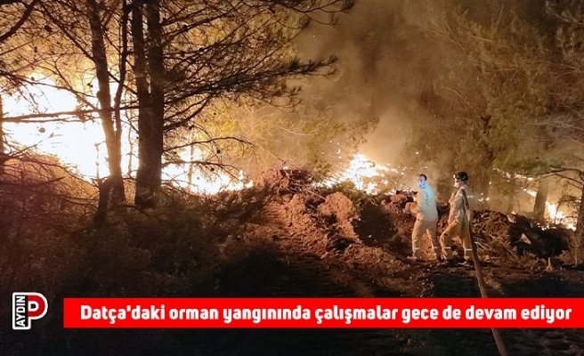 Datça'daki orman yangınında çalışmalar gece de devam ediyor