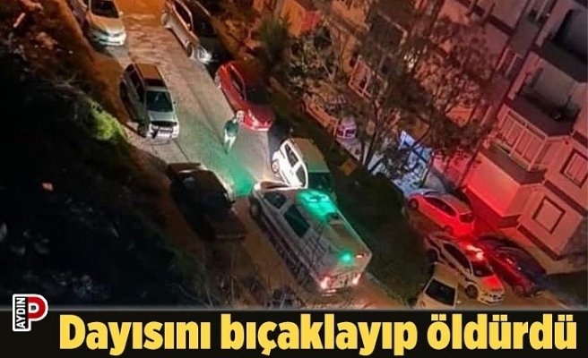 Dayısını bıçaklayıp öldürdü